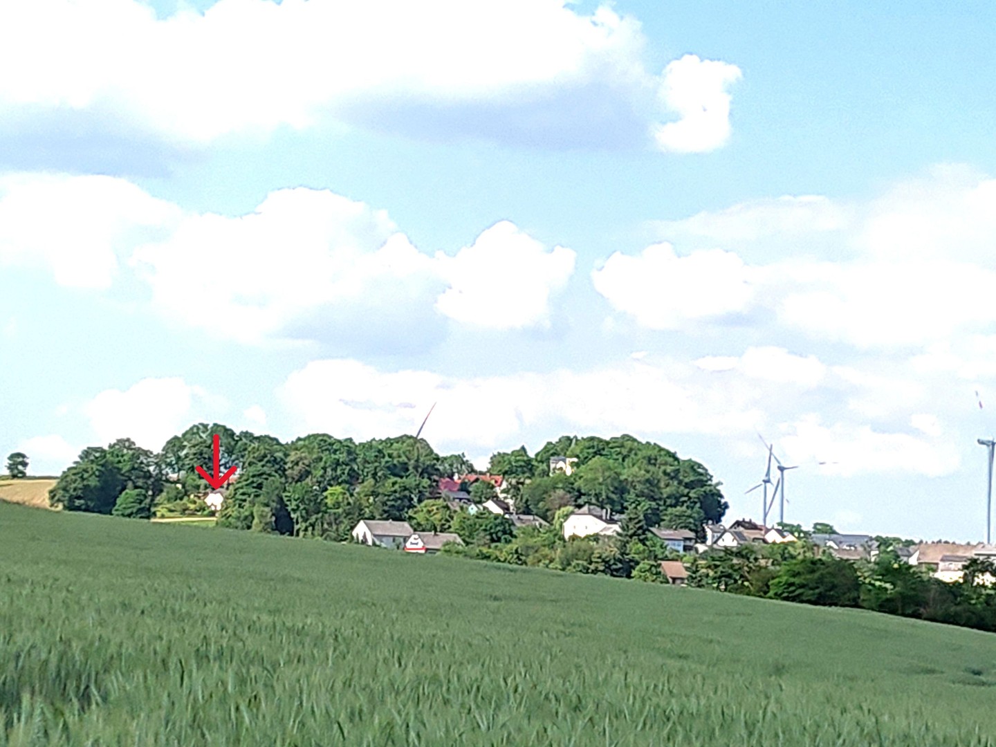 bg