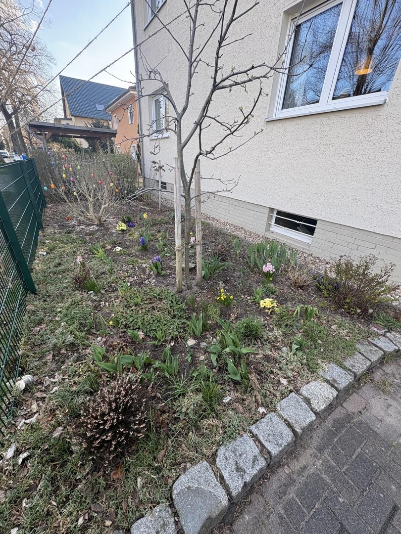 freistehendes Einfamilienhaus mit Garten in ruhiger Wohnlage