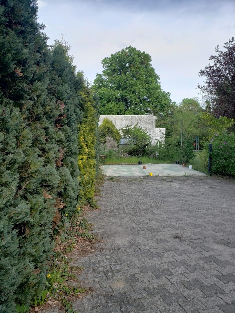 bg
