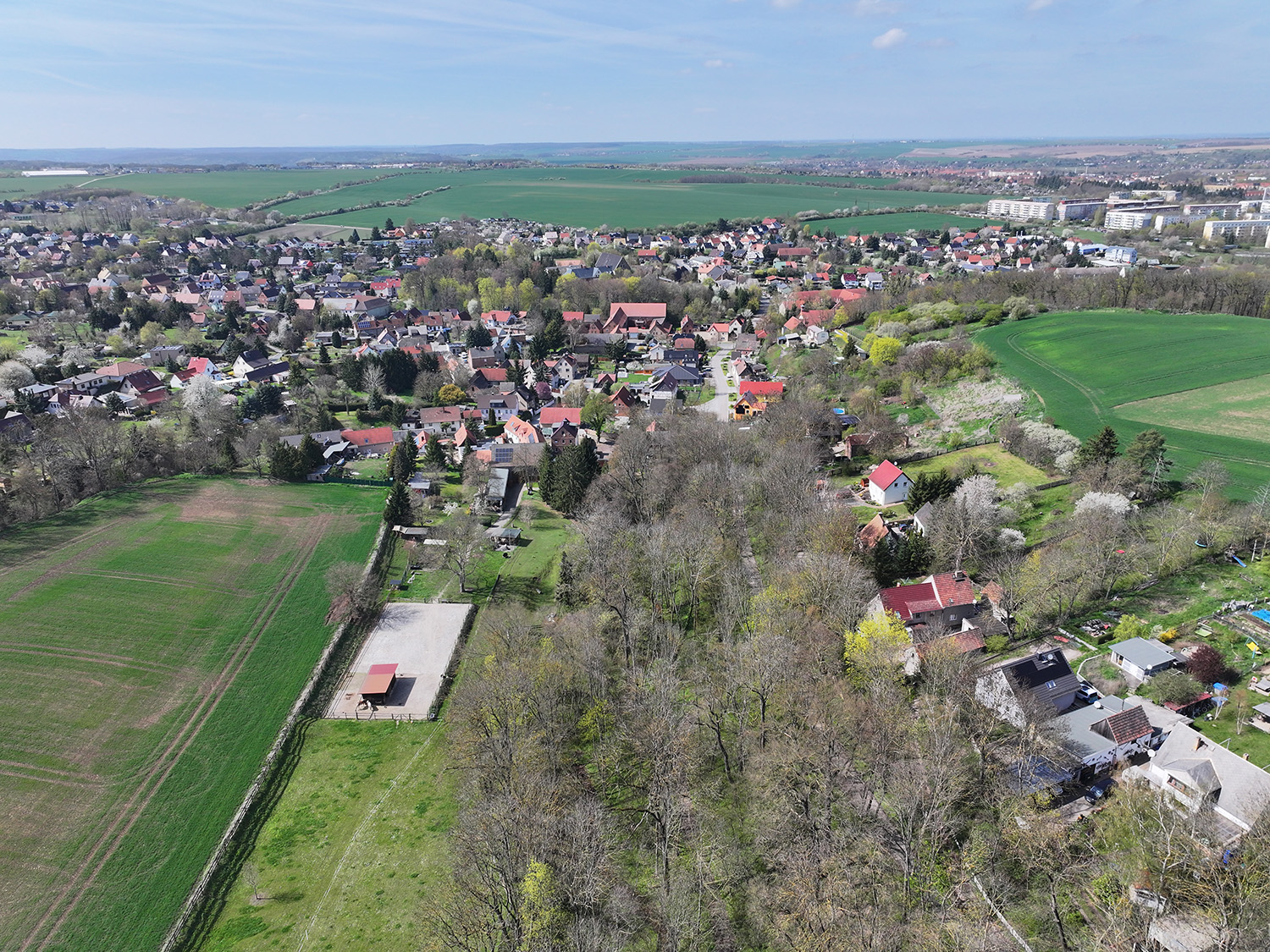 bg