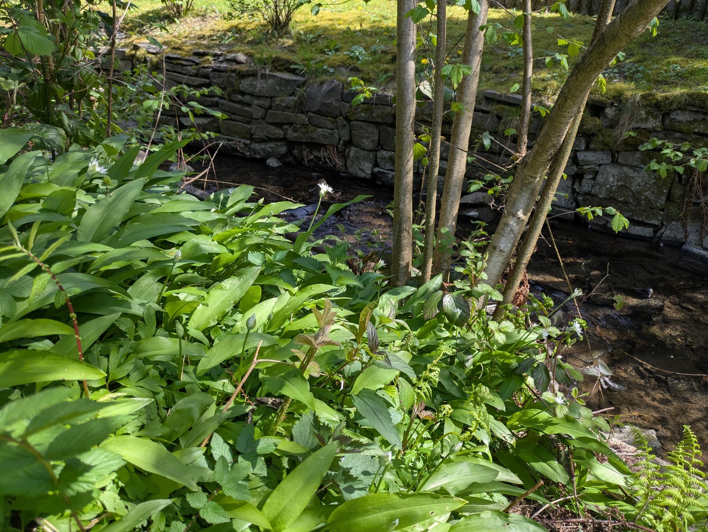 PROVISIONSFREI: Wohnen mit Raum und Komfort - Einfamilienhaus mit Südgarten und Einliegerwohnung – Gummersbach – Vorschaubild 37