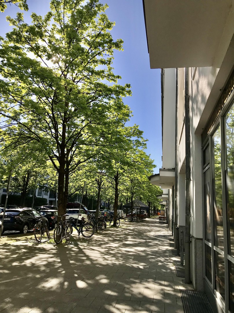 Stimmiges Zuhause Schwabing West/Olympiapark/Neuhausen – München – Vorschaubild 4
