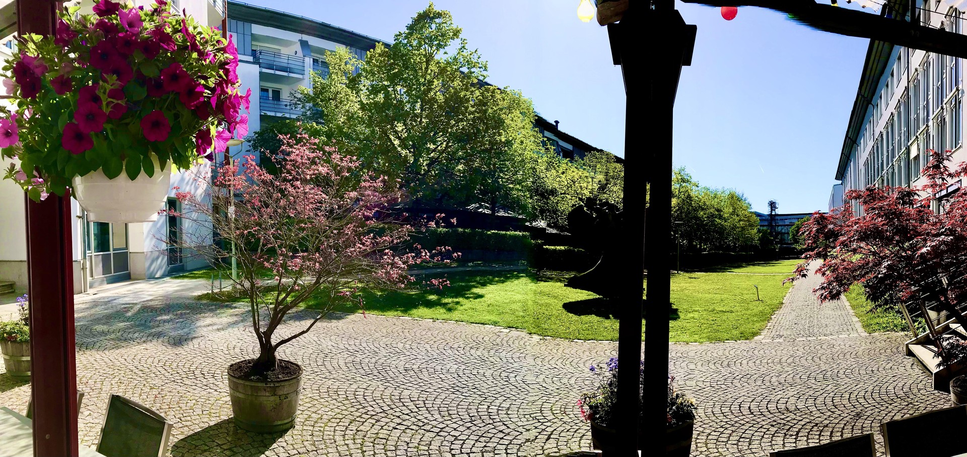 Stimmiges Zuhause Schwabing West/Olympiapark/Neuhausen – München – Vorschaubild 12