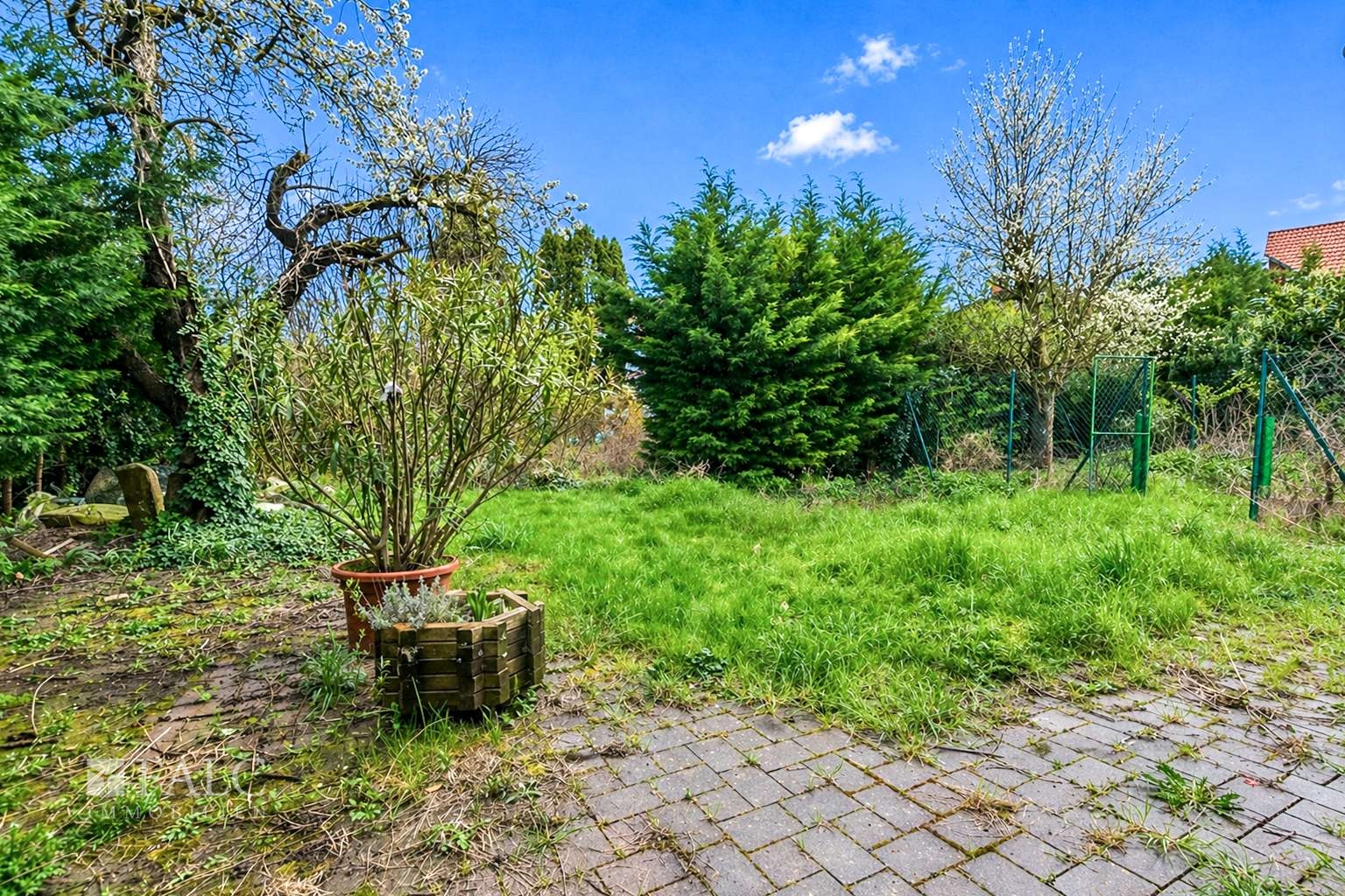 Vielseitiges Anwesen mit Vorder- und Hinterhaus, Halle, Scheune und Entwicklungspotenzial – Mannheim – Vorschaubild 23