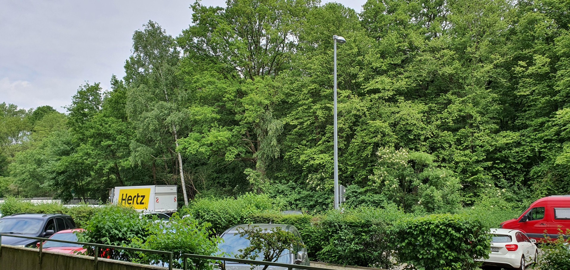 bg