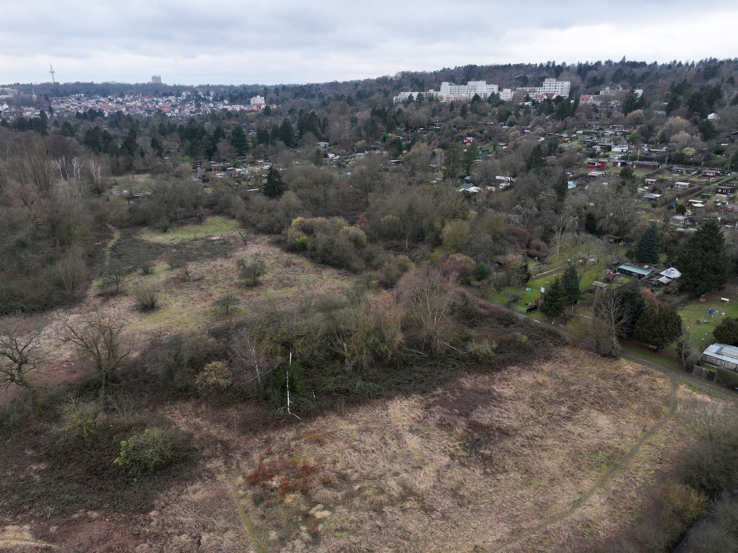 bg