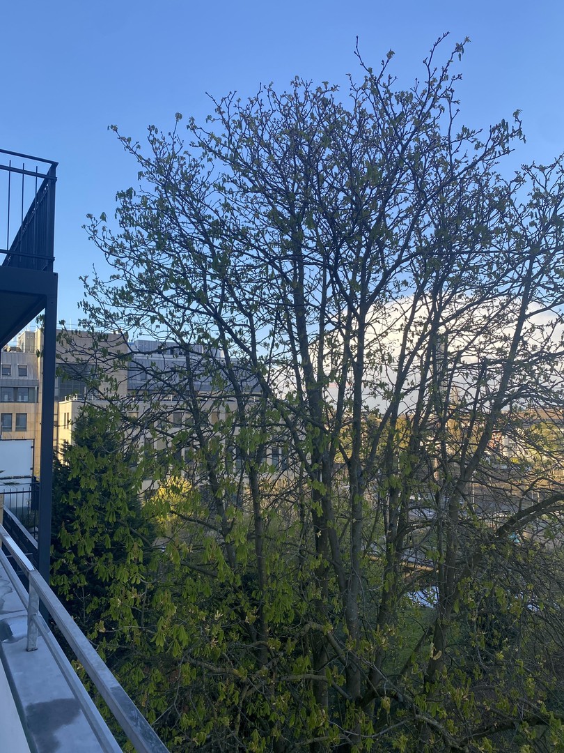 Stilvolles Wohnen mit historischem Charme im Altbau – Düsseldorf – Vorschaubild 19