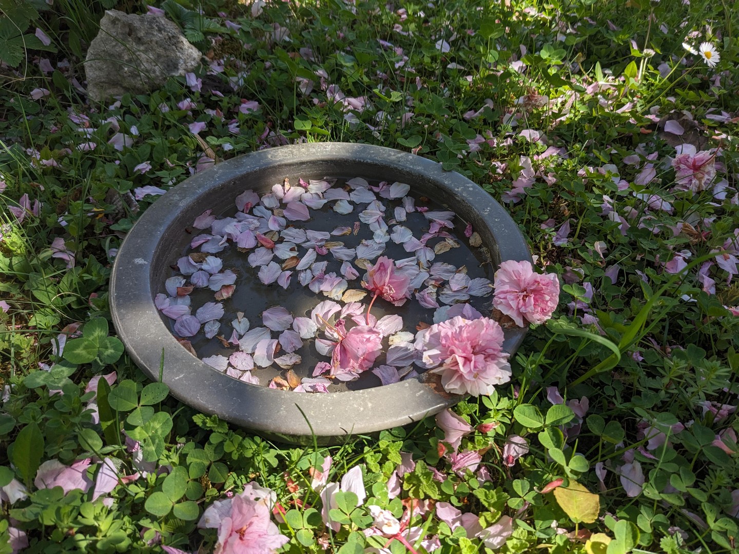 Sonniges Garten-Juwel am Ulmer Eselsberg West - bezugsfrei & provisionsfrei. – Ulm – Vorschaubild 28