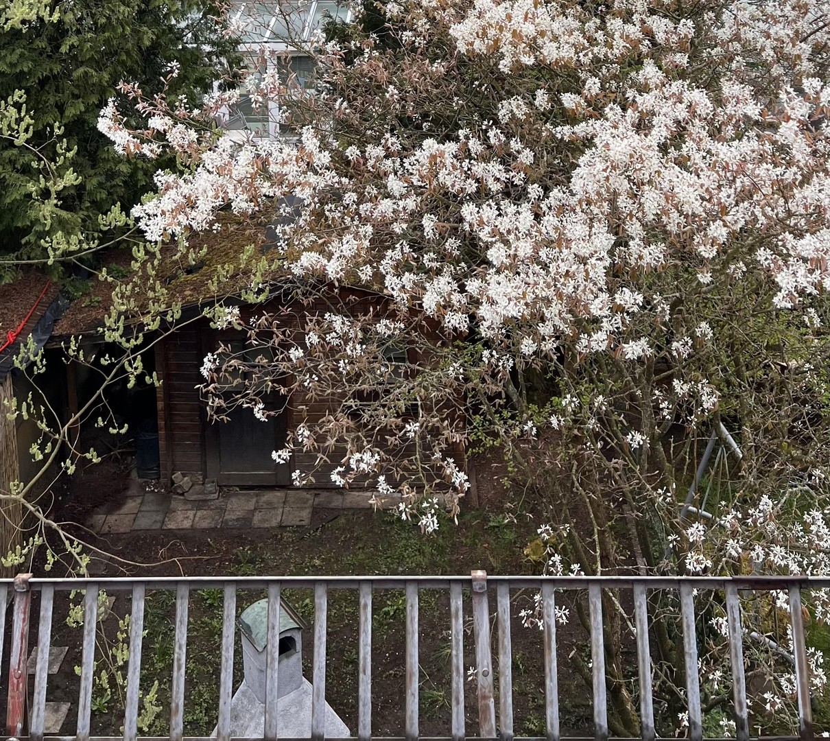 Ohne Makler und VHB: TOP-LAGE! Reihenhaus München, MUSTERSIEDLUNG Gartenschau: ruhig, grün, zentral – München-Ramersdorf – Vorschaubild 3
