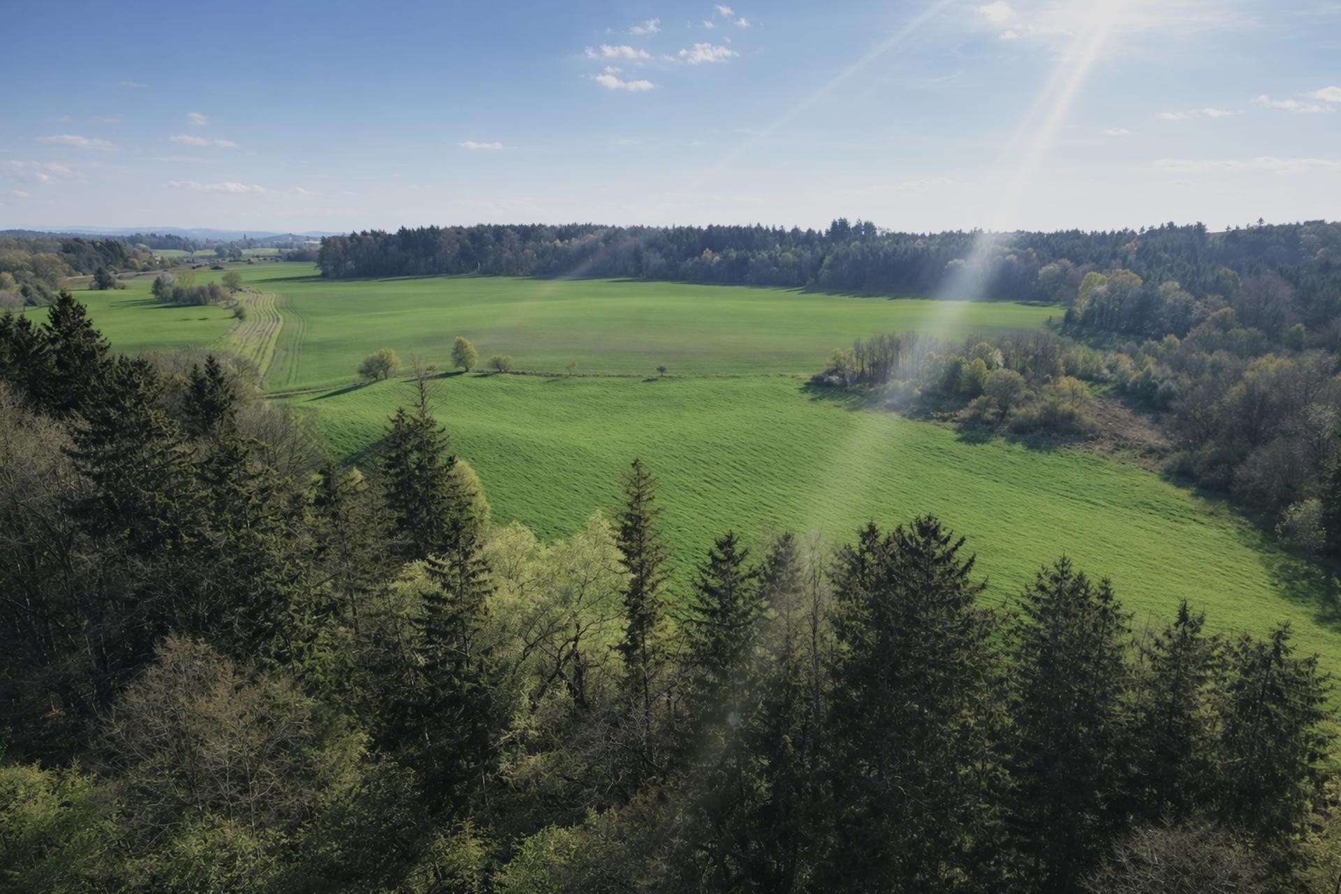 bg
