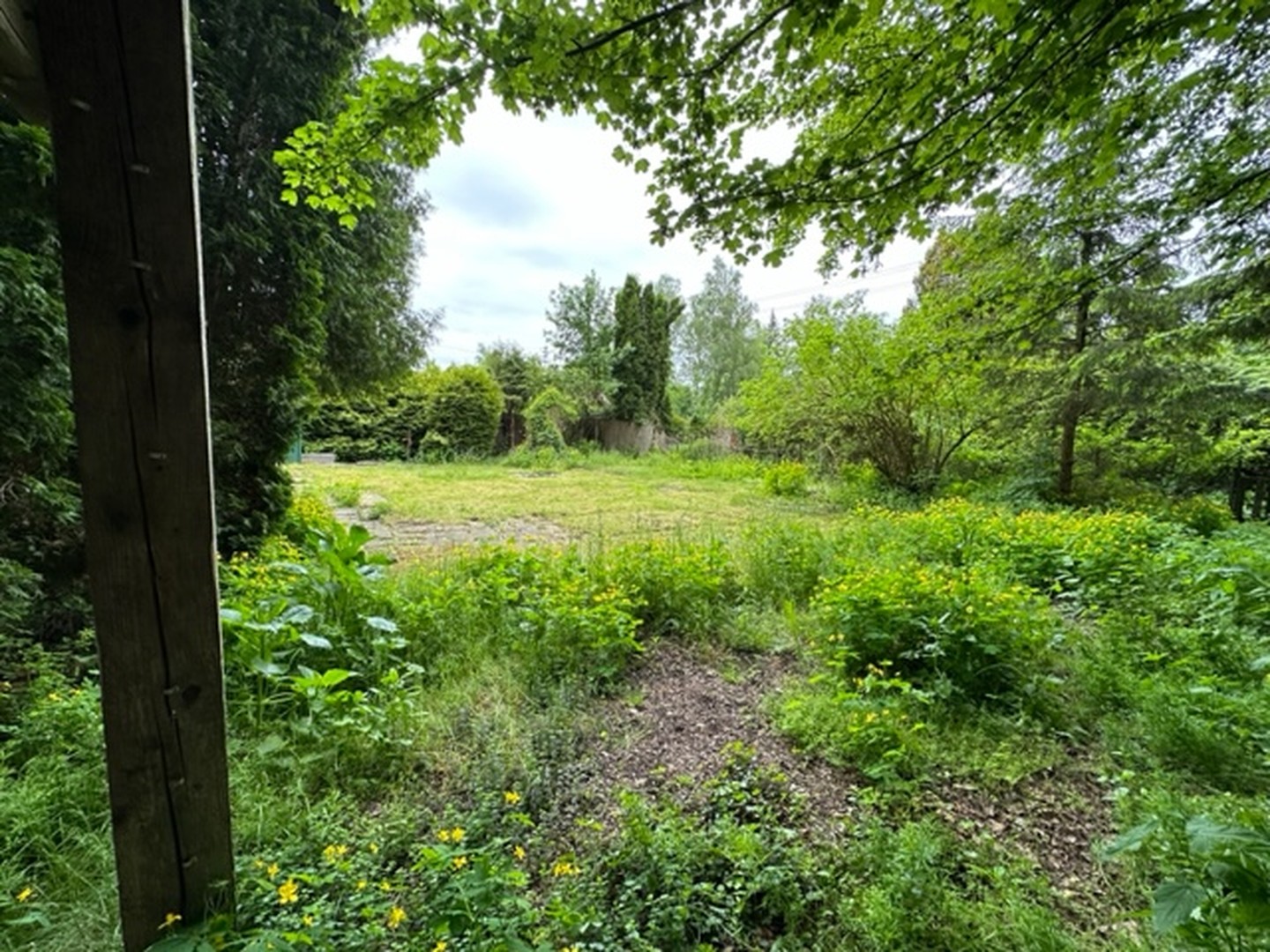 bg