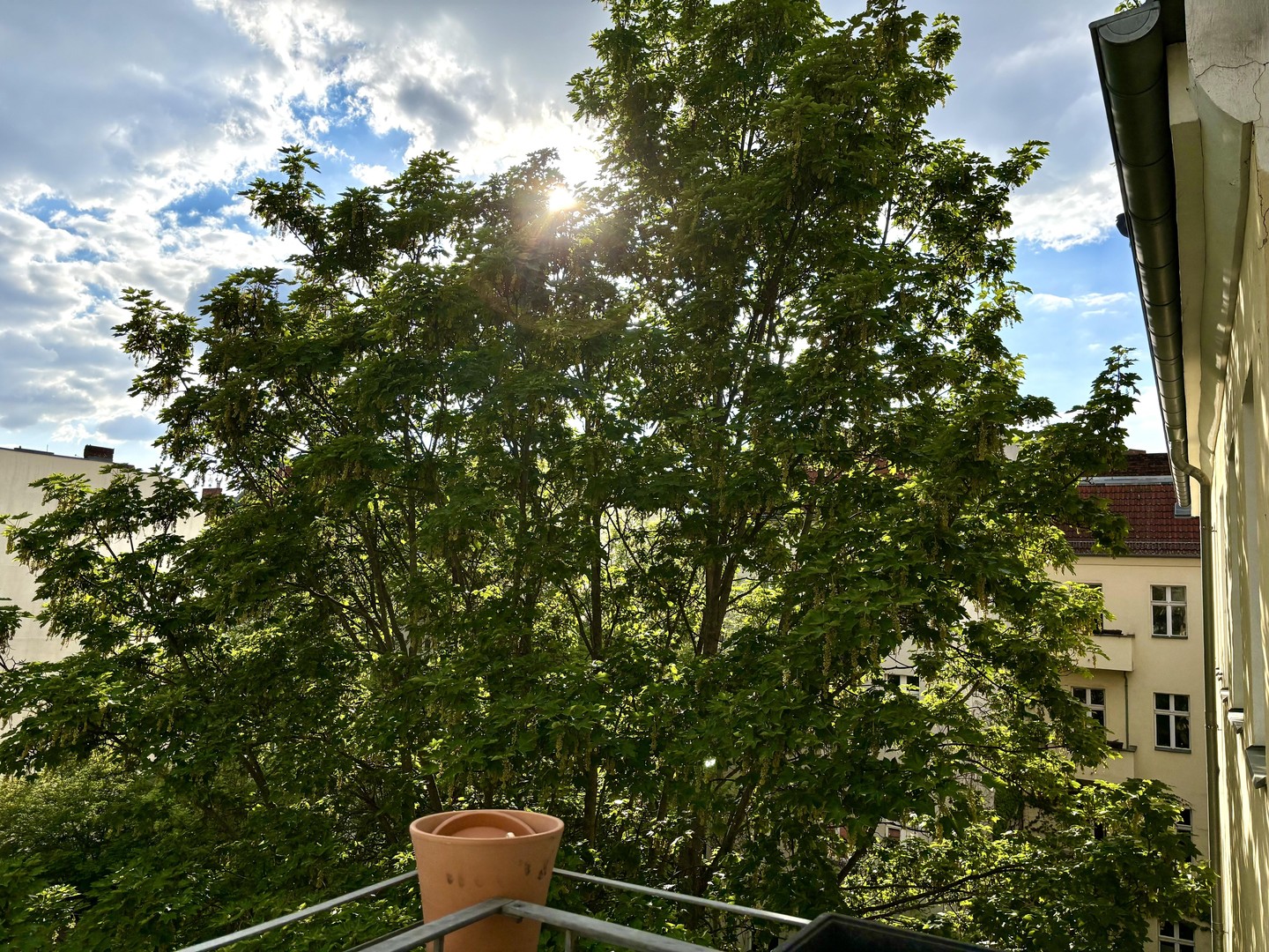 Helle 3-Zimmer-Wohnung mit Balkon & Grünblick im ruhigen Gartenhaus – Boxhagener Kiez – Berlin – Vorschaubild 14