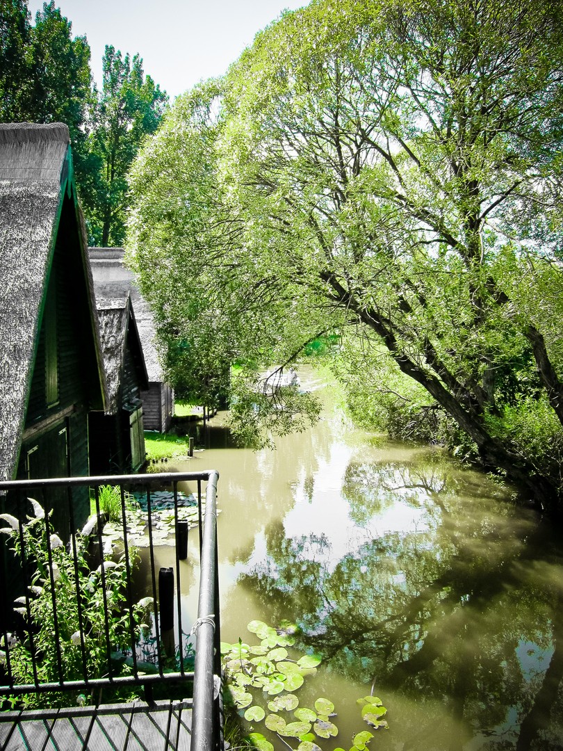 Reetgedecktes Bootshaus an der Mildenitz in Goldberg – Goldberg – Vorschaubild 19