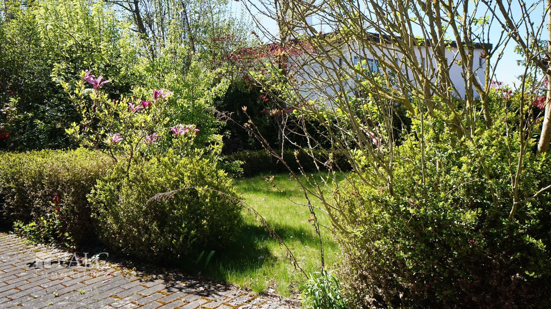 Ein Haus - 4 Wohnungen - ca. 555 m² Wfl. auf ca. 900 m² Grundstück von FALC-Immobilien Göttingen – Göttingen – Vorschaubild 6