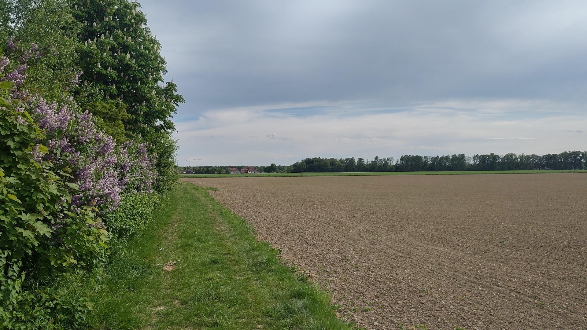 Provisionsfrei ! Ein / Zweifamilienhaus in wunderschöner Lage Ingolstadt Süd, mit toller Fernsicht – Ingolstadt – Vorschaubild 19