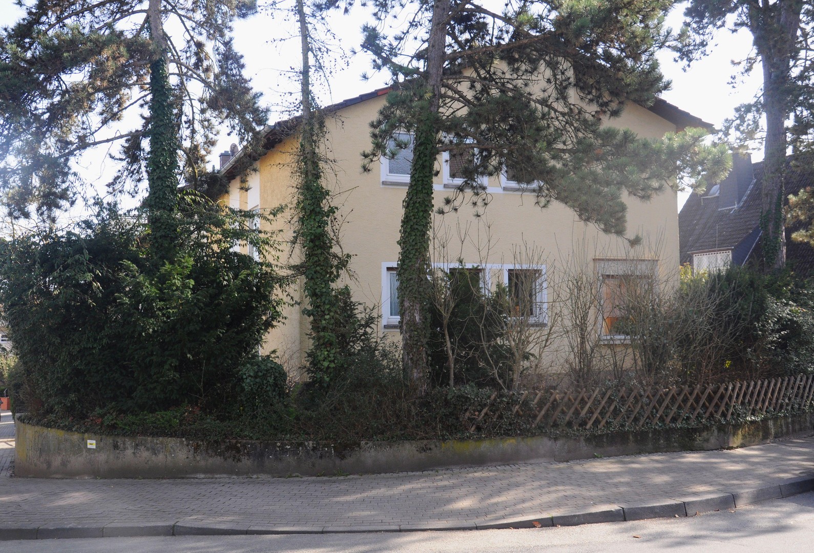 bg