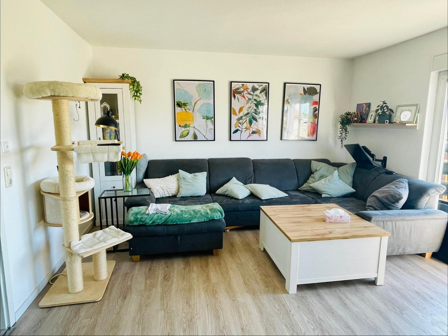 Haus mieten in Bernburg – Bernburg OT Baalberge – Vorschaubild 12