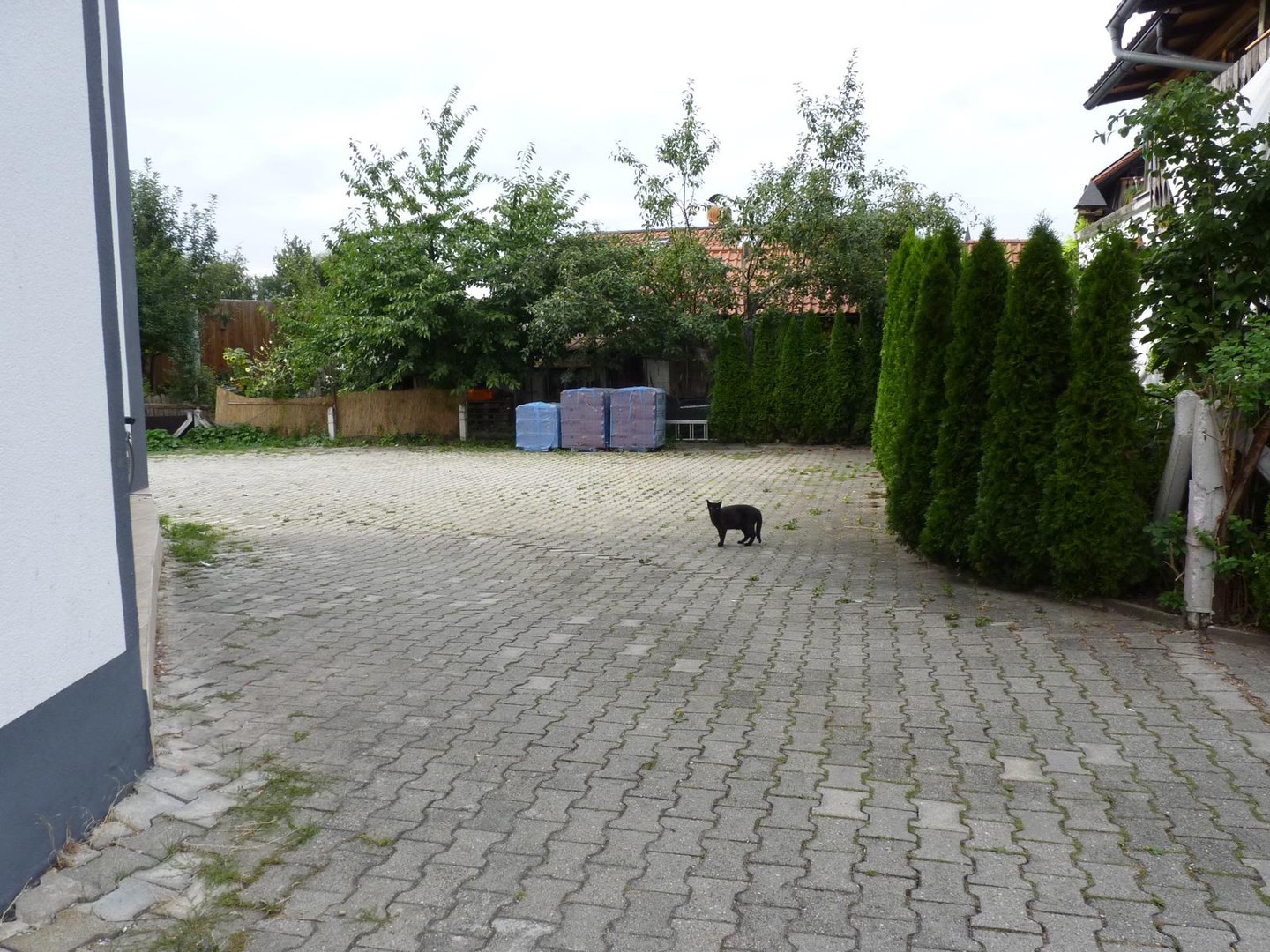 Mehrfamilienhaus/WG/Pension im Herzen von Dingolfing, Monteurunterkunft – Dingolfing – Vorschaubild 9