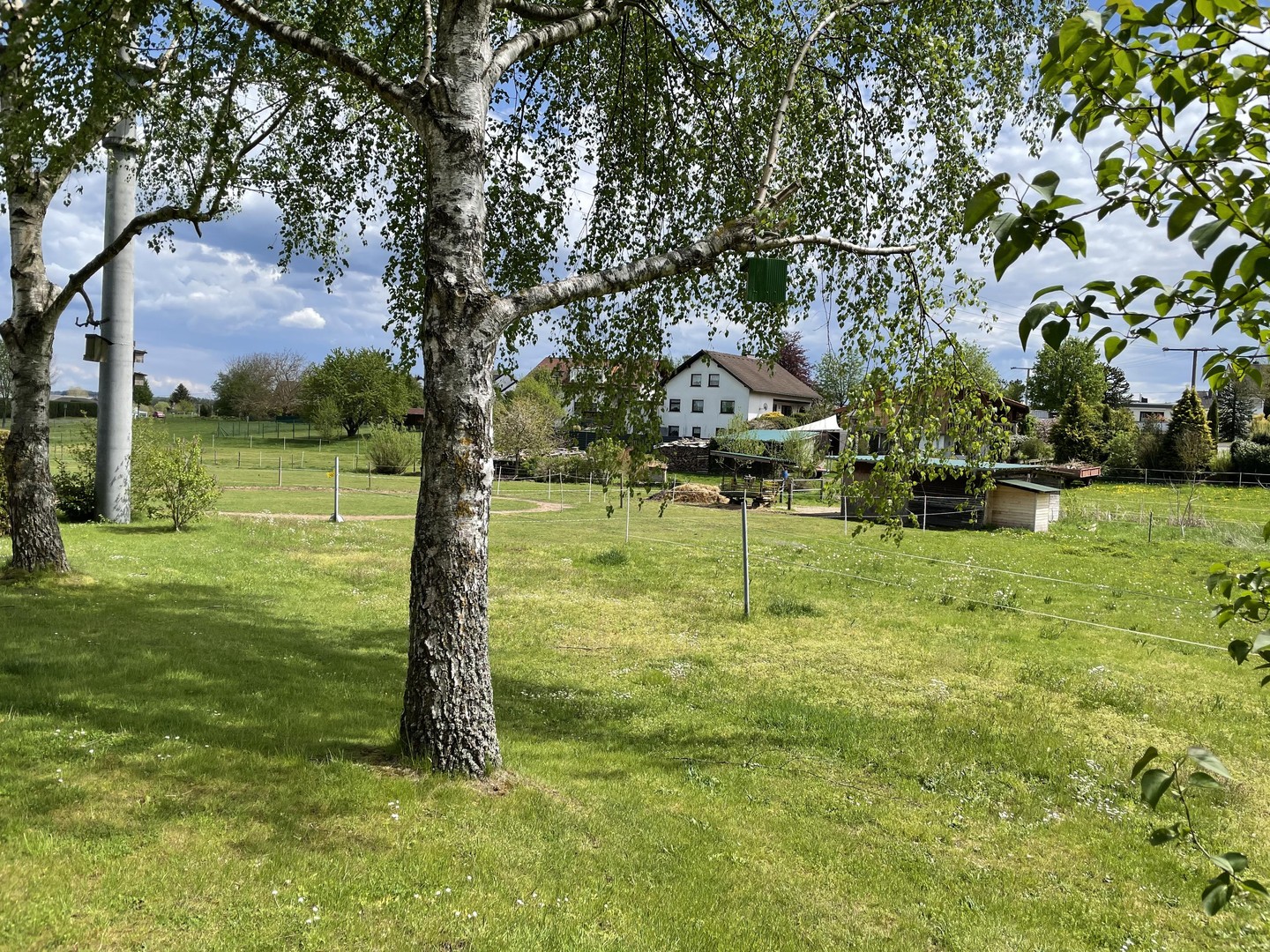 Wunderschön gelegenes Wohnhaus in Montabaur-Horressen – Montabaur – Vorschaubild 40