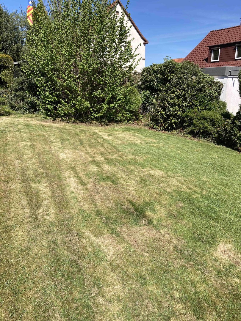 Doppelhaushälfte in Detmold-Heiligenkirchen – Detmold-Heiligenkirchen – Vorschaubild 5
