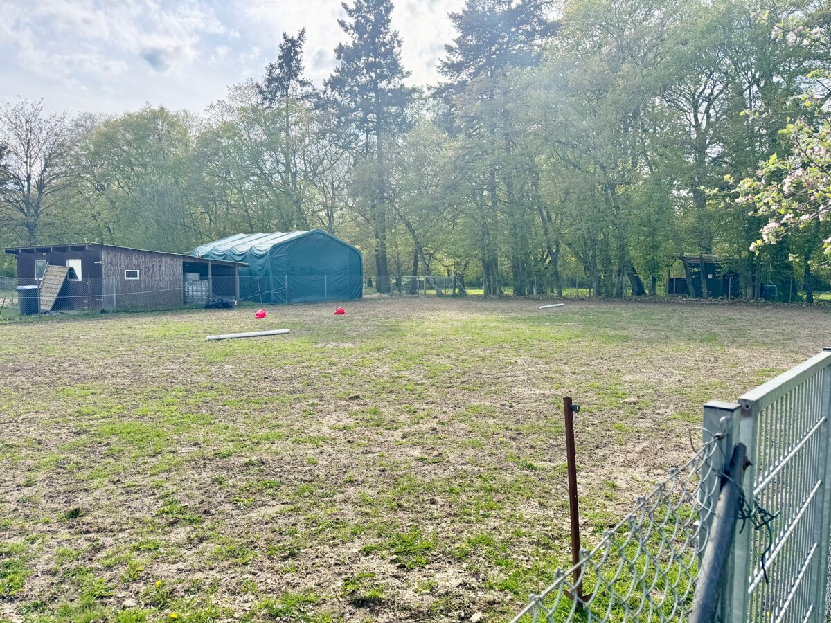 HORN IMMOBILIEN ++ Haus mit Doppelgarage und Nebengebäude in Wodarg bei Altentreptow, ruhige Lage – Werder OT Wodarg – Vorschaubild 3