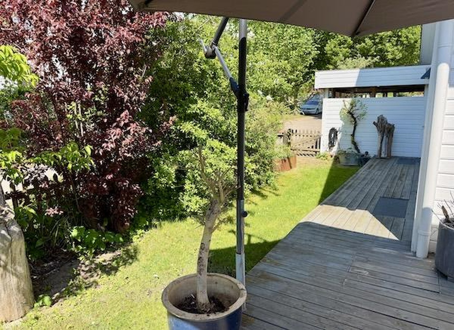 Charmantes norwegisches Holzhaus mit Schwimmteich und traumhaftem Naturgarten – Gerolsbach – Vorschaubild 6