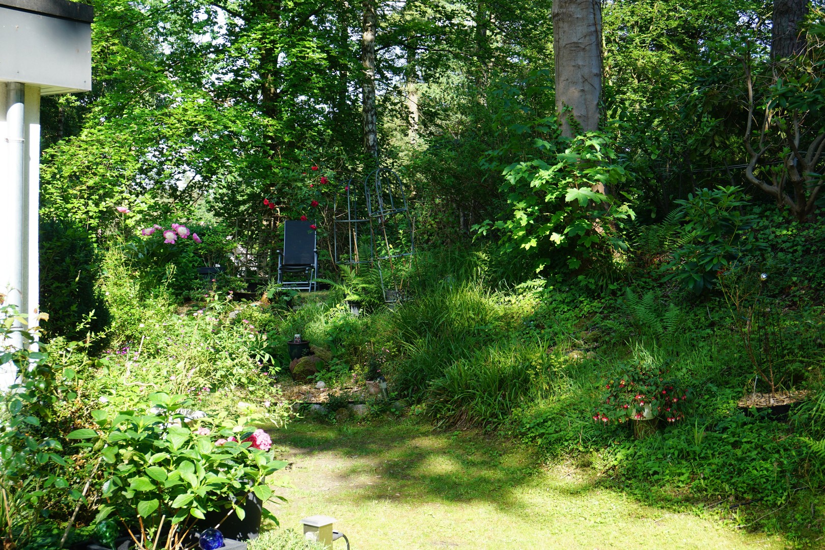 Einmaliges Sackgassengrundstück am Naturschutzgebiet – Bungalow direkt am Waldrand - provisionsfrei – Hamburg – Vorschaubild 6