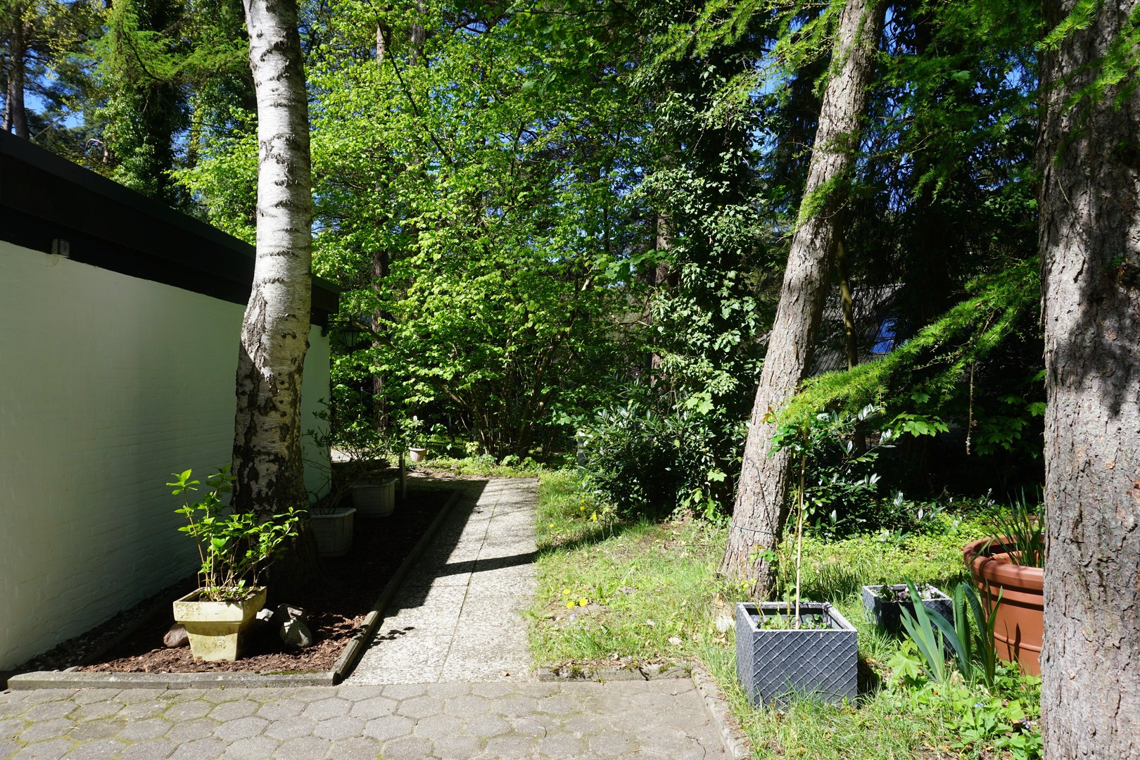 Einmaliges Sackgassengrundstück am Naturschutzgebiet – Bungalow direkt am Waldrand - provisionsfrei – Hamburg – Vorschaubild 13