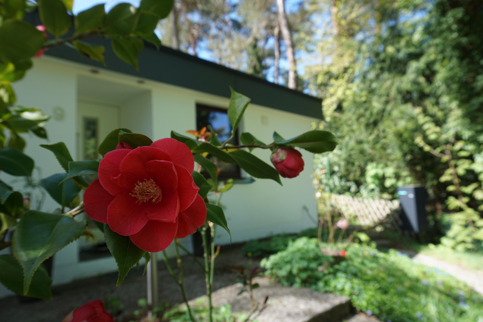 Einmaliges Sackgassengrundstück am Naturschutzgebiet – Bungalow direkt am Waldrand - provisionsfrei – Hamburg – Vorschaubild 14