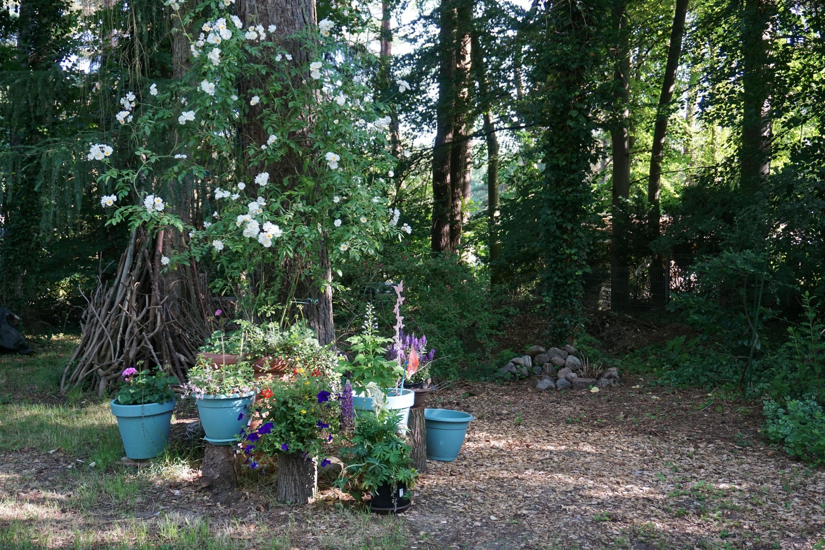 Einmaliges Sackgassengrundstück am Naturschutzgebiet – Bungalow direkt am Waldrand - provisionsfrei – Hamburg – Vorschaubild 46