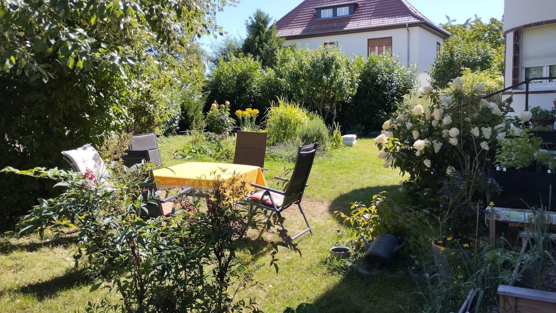 Mehrfamilienhaus, Wohn- und Investitionsobjekt mit Entwicklungspotenzial, provisionsfrei, leer – Leipzig – Vorschaubild 8