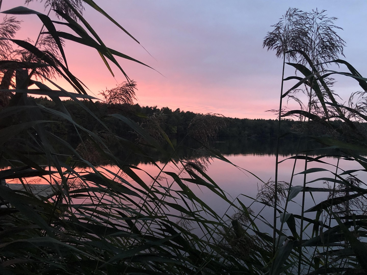 Lebenstraum am See nahe Berlin, mit Gästehaus, Sauna, eigenem Steg – Königs Wusterhausen – Vorschaubild 21