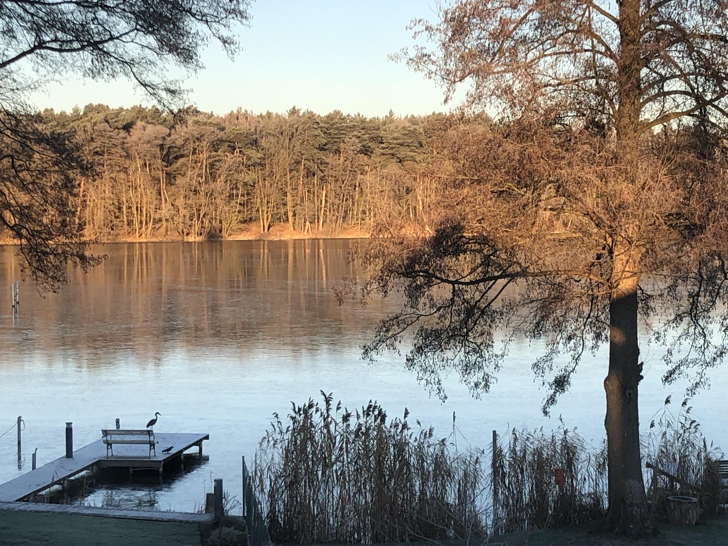 Lebenstraum am See nahe Berlin, mit Gästehaus, Sauna, eigenem Steg – Königs Wusterhausen – Vorschaubild 22