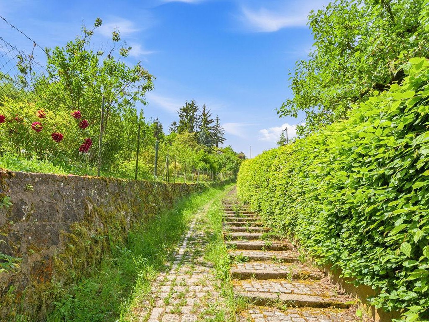 Natur- und stadtnah: idyllisches, helles Einfamilienhaus(159qm) mit kl. Garten in in S-Wangen – Stuttgart – Vorschaubild 22