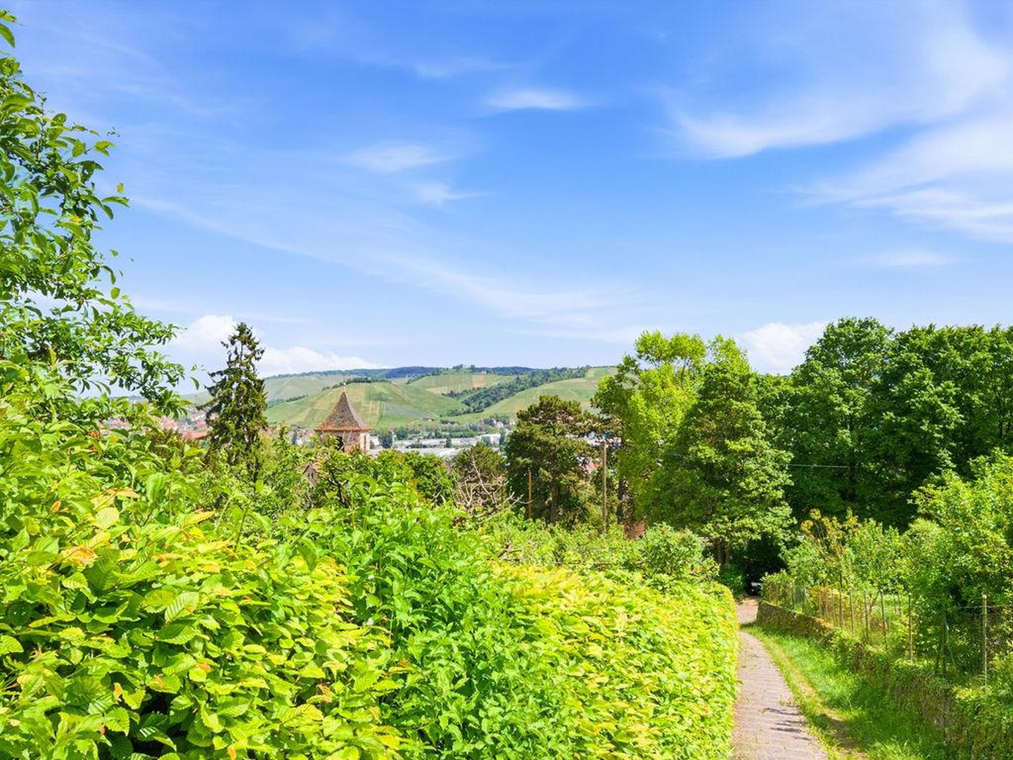 Natur- und stadtnah: idyllisches, helles Einfamilienhaus(159qm) mit kl. Garten in in S-Wangen – Stuttgart – Vorschaubild 23