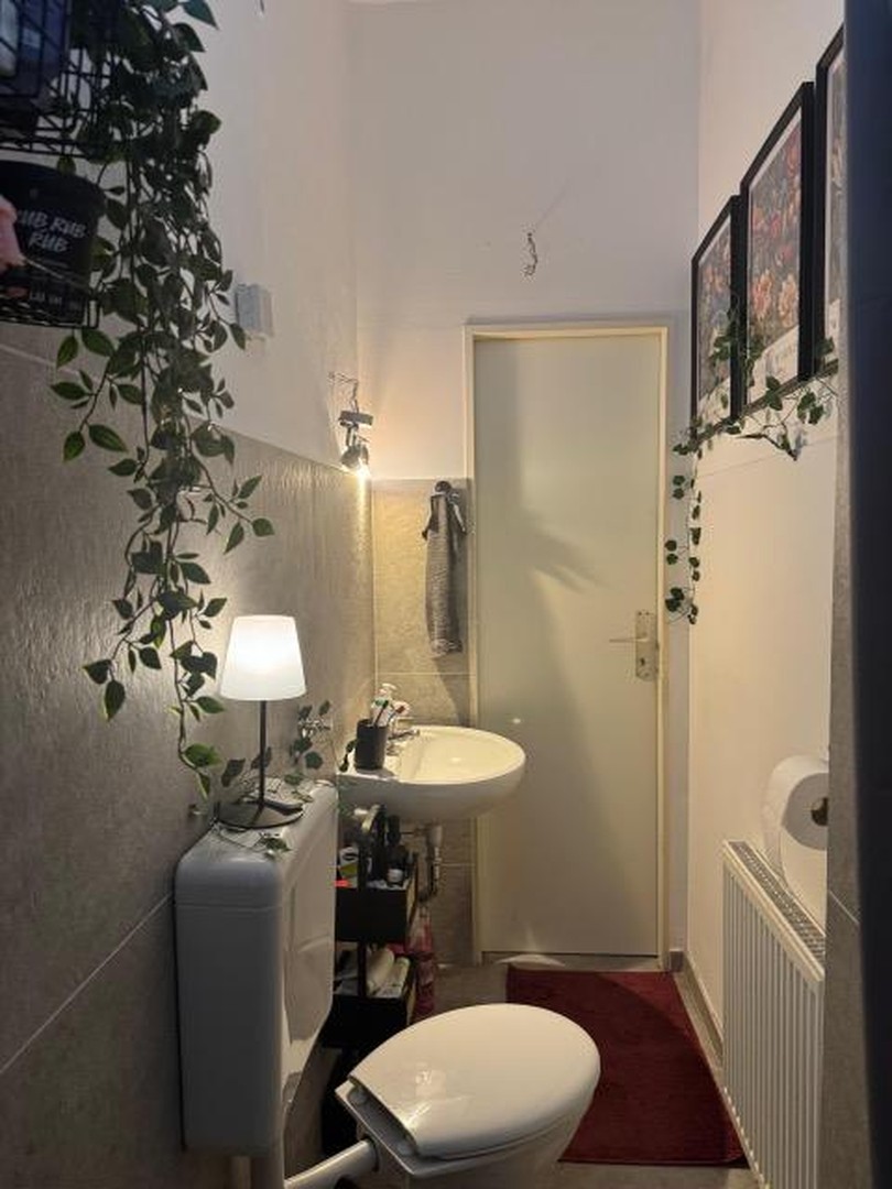 Schöne 3 Zimmerwohnung in Hildesheim – Hildesheim – Vorschaubild 4
