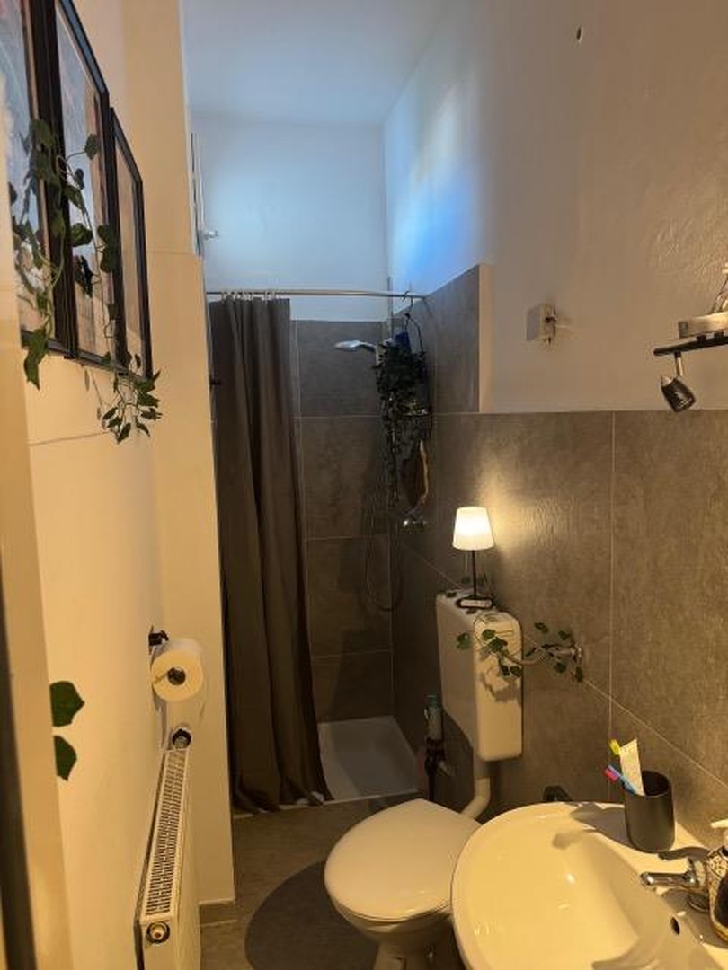 Schöne 3 Zimmerwohnung in Hildesheim – Hildesheim – Vorschaubild 10