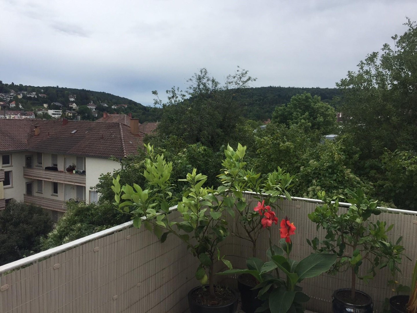 gehobene 3 Zimmerwohnung in der Friedenstrasse von privat – Pforzheim – Vorschaubild 13