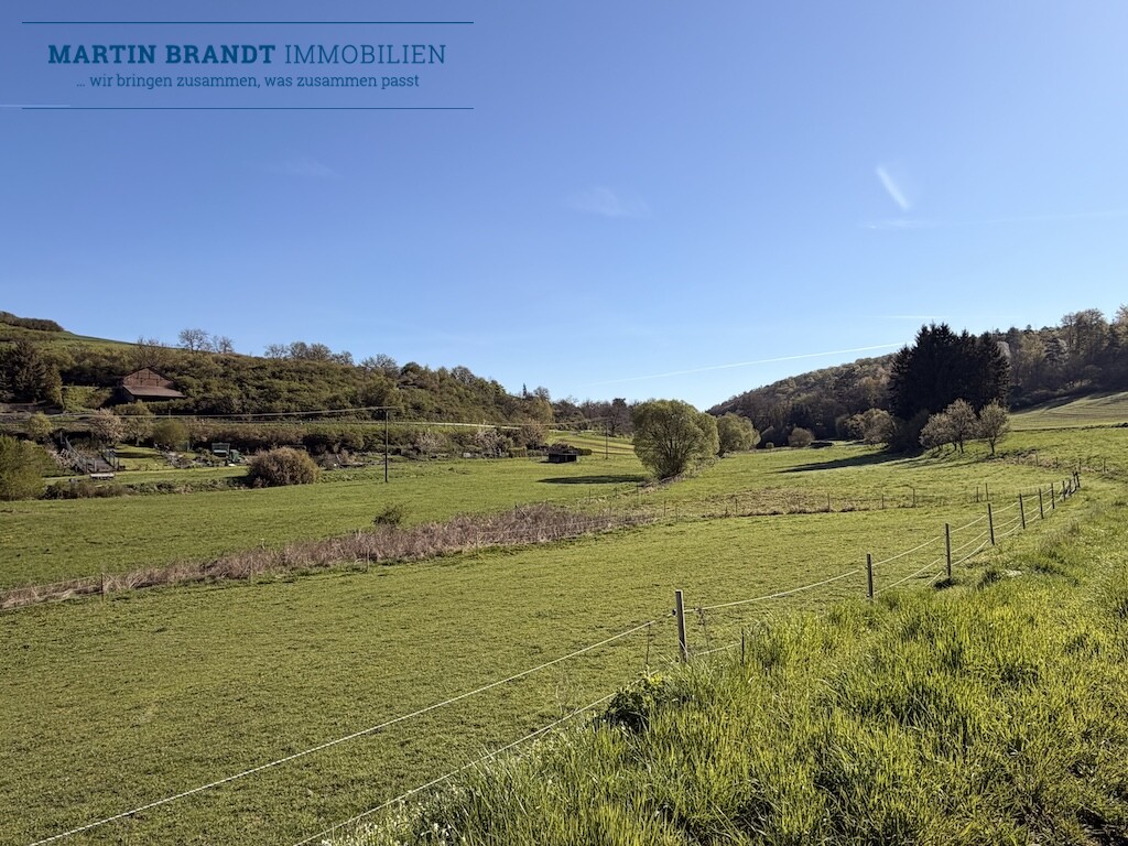 Freistehendes Einfamilienhaus mit einem großen Garten in Ortsrandlage von Hohenstein / Hennethal – Hohenstein / Hennethal – Vorschaubild 47