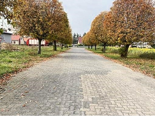 Lager-/Produktionshallen mit Ausstellungs-/Verwaltungsgebäude sowie landw. Flächen auf ca. 46.000 m² – Waren (Müritz) / Alt Falkenhagen – Vorschaubild 12