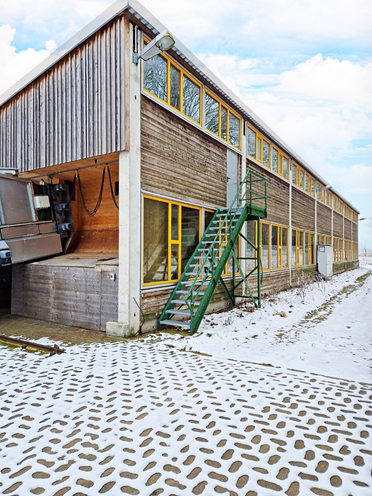 Lager-/Produktionshallen mit Ausstellungs-/Verwaltungsgebäude sowie landw. Flächen auf ca. 46.000 m² – Waren (Müritz) / Alt Falkenhagen – Vorschaubild 28