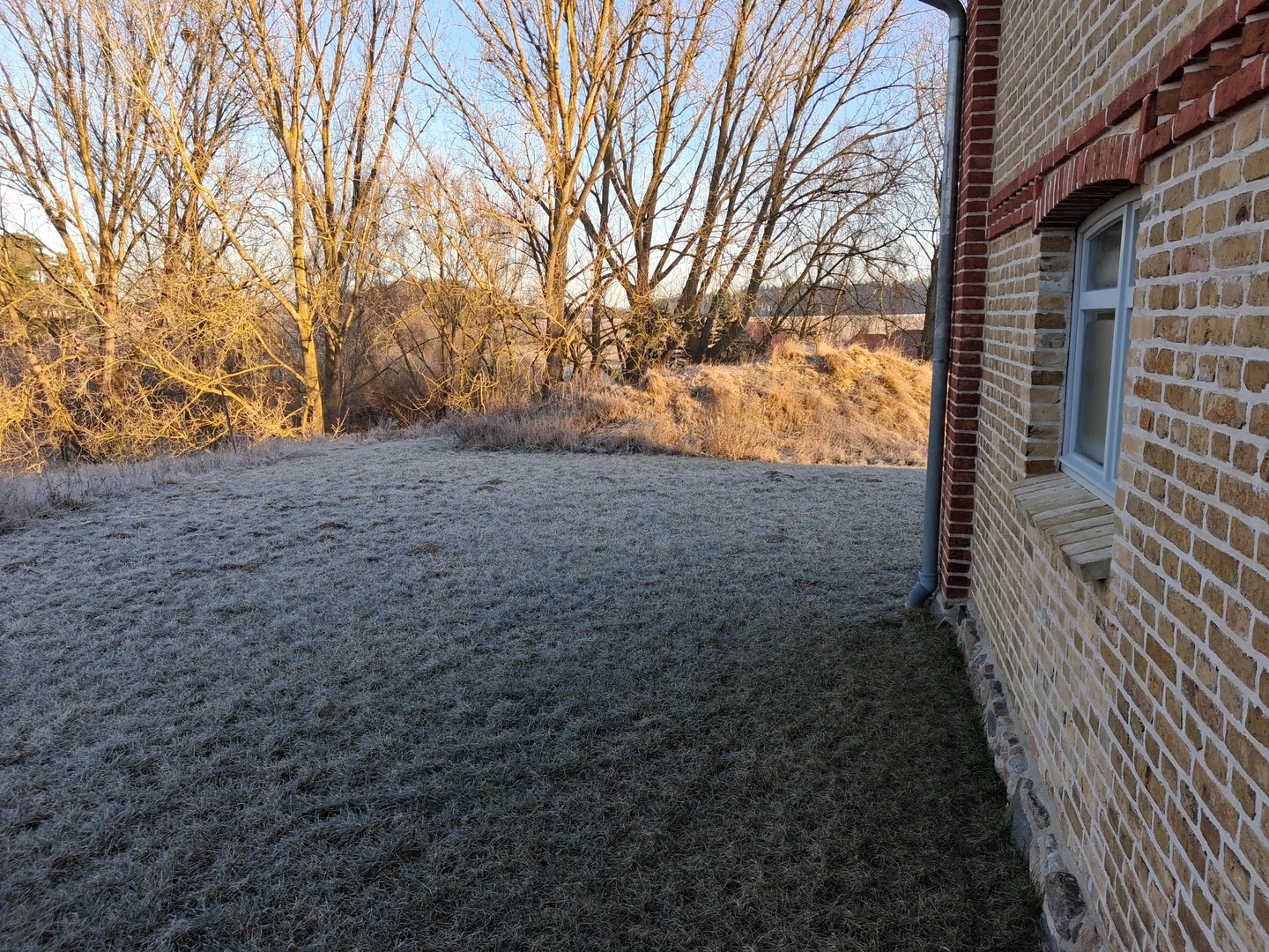 Außergewöhnliches Wohnhaus in freier Natur – Behren-Lübchin – Vorschaubild 6