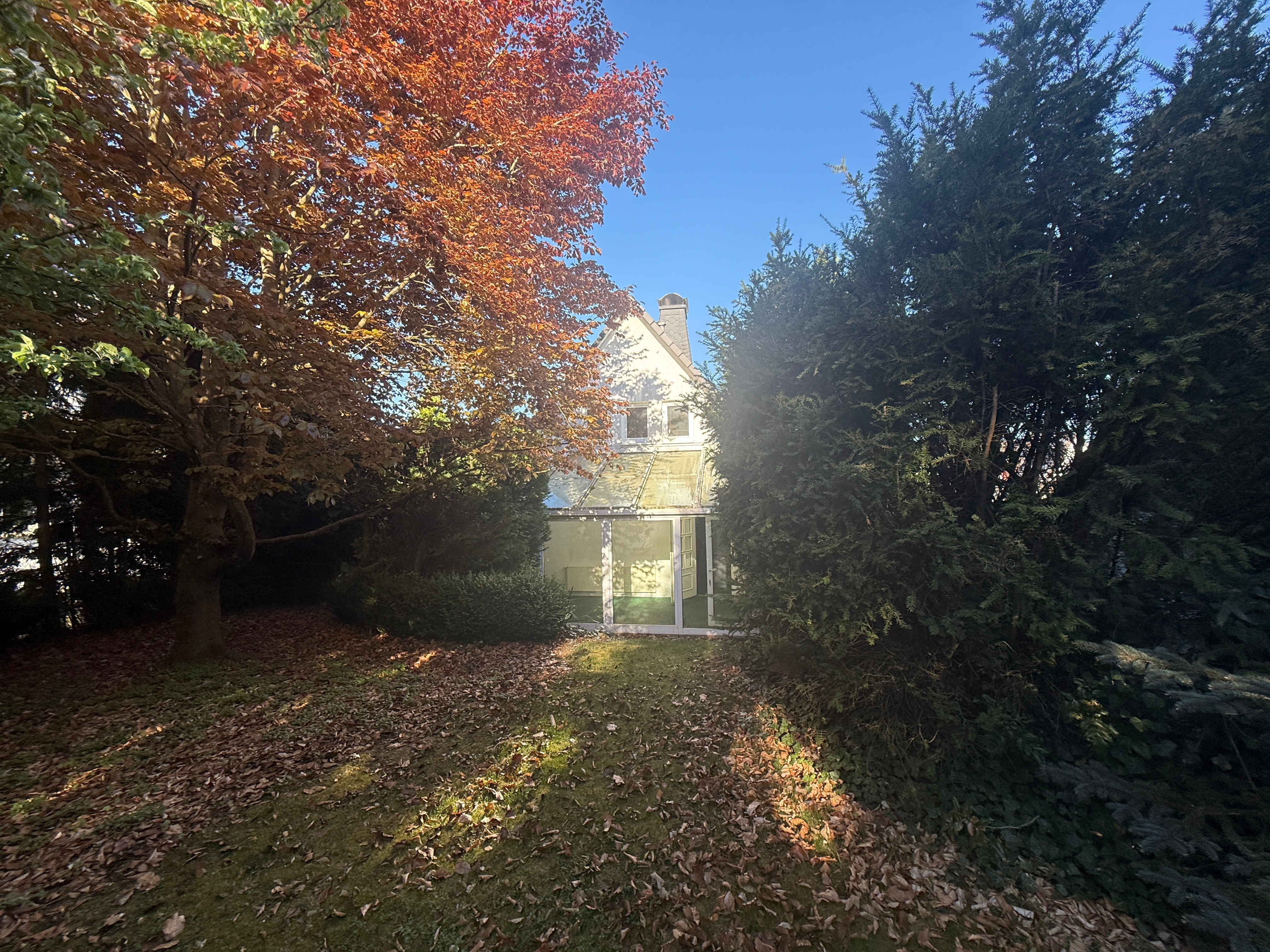 Einfamilienhaus mit Wintergarten auf einem grünen Grundstück mitten in Frankenberg – Frankenberg (Eder) – Vorschaubild 7