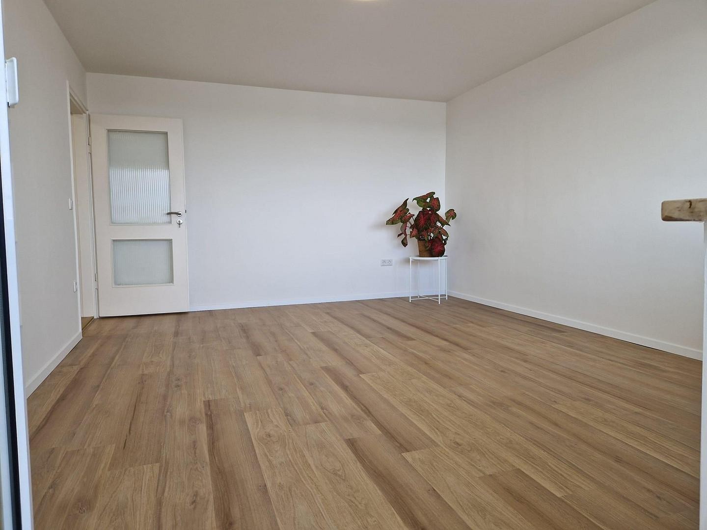 Frisch renovierte 2-Zimmer-Wohnung | FREI – Fürth – Vorschaubild 3