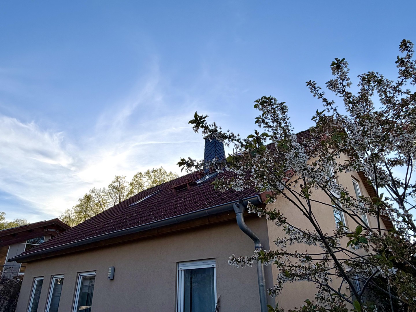 (provisionsfrei) - Wunderschönes Einfamilienhaus in Großziethen ohne Makler – Schönefeld – Vorschaubild 5