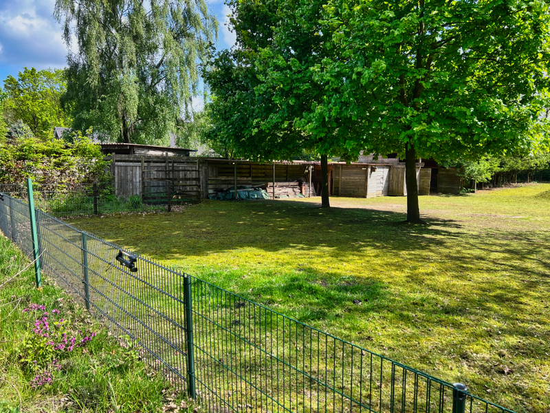 Idylle pur! Haus & Hof in Randlage von Stavern! – Stavern – Vorschaubild 9