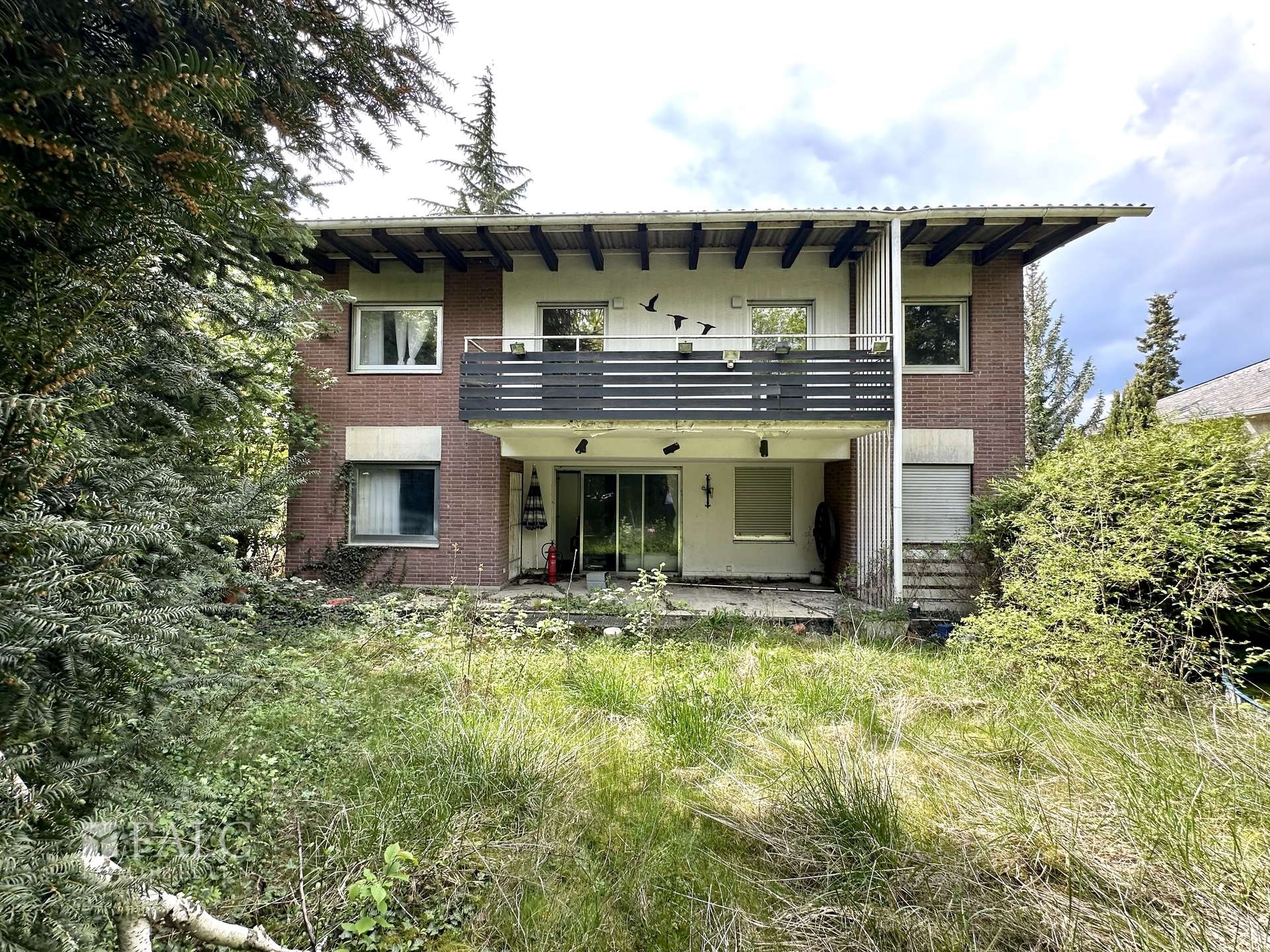 bg