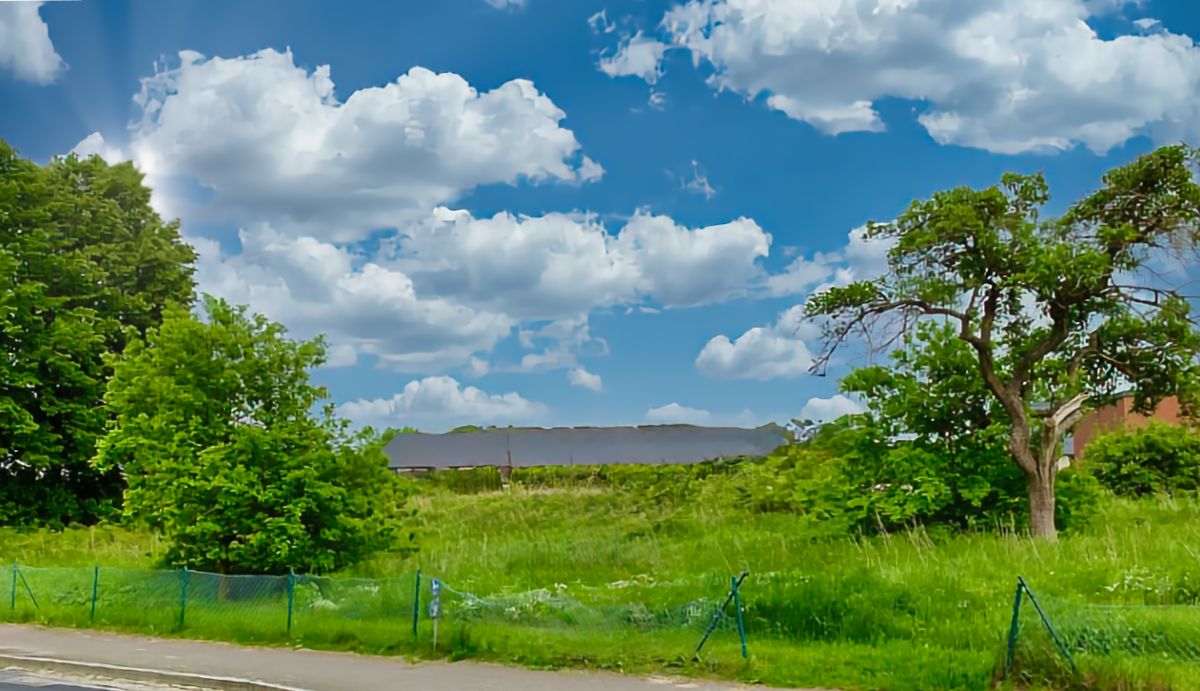 bg