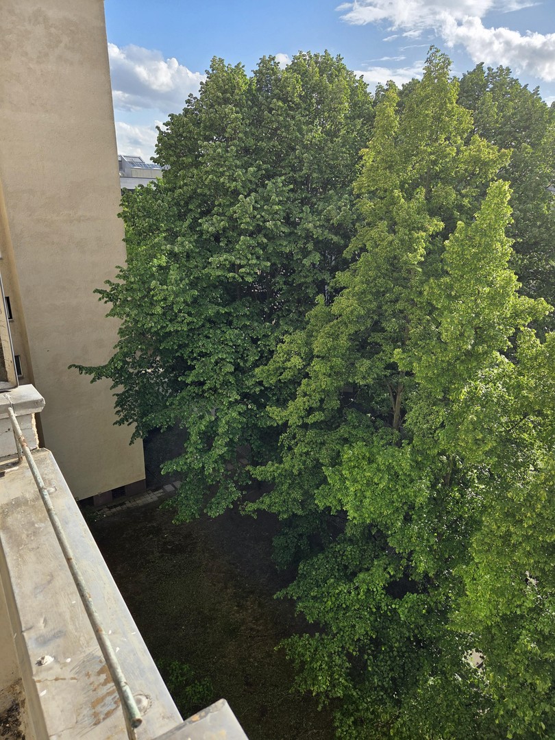 #frisch renoviert #unbefristet #ideale Pendler- oder Studentenwohnung #am Bahnhof Gesundbrunnen – Berlin – Vorschaubild 13