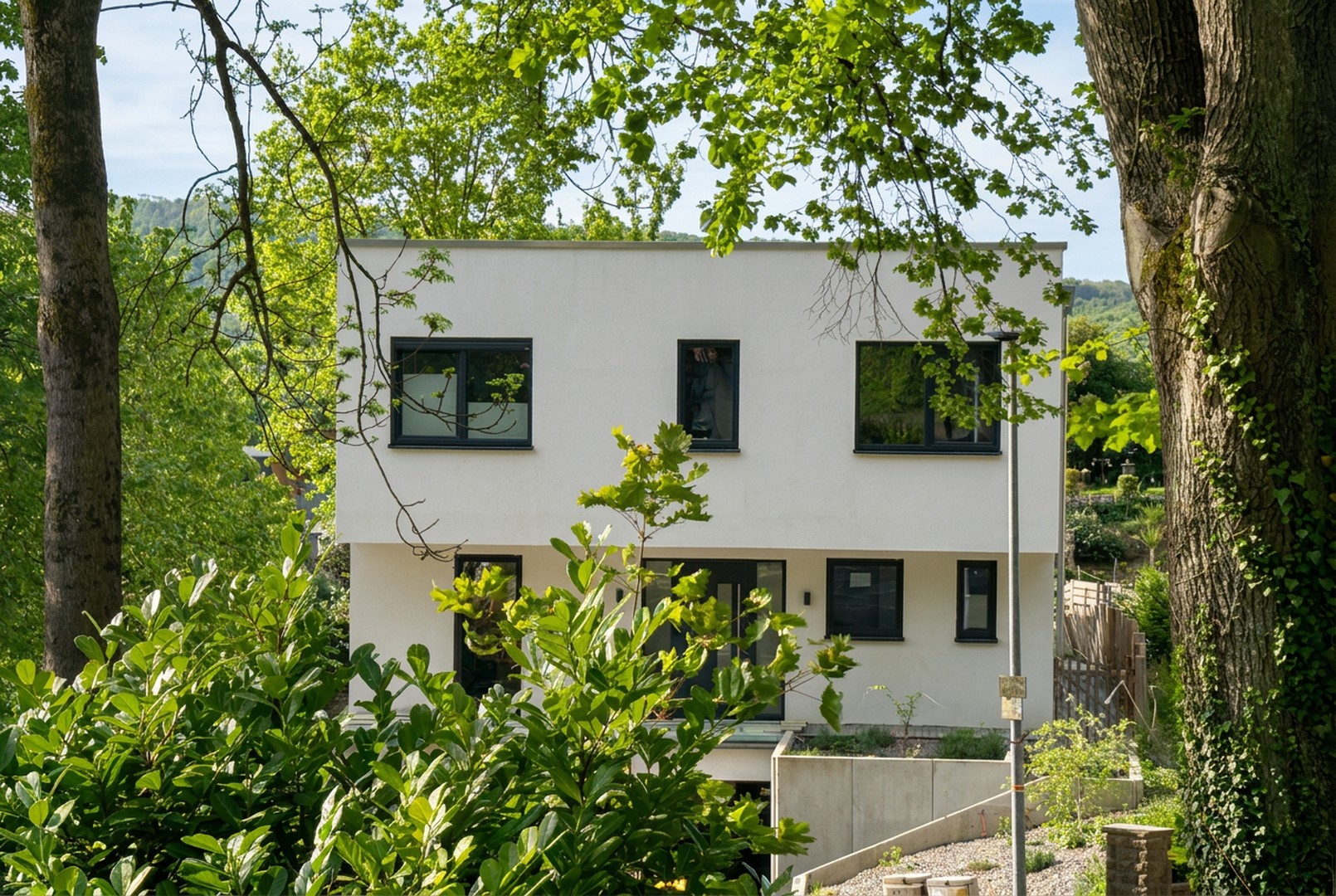 Architektenhaus am Waldrand - Neubau 2022, PV & Smart Home, Einliegerwohnung